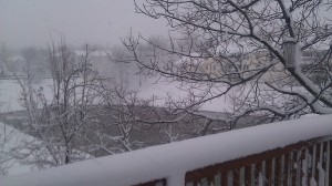 View of the blizzard from my porch.  No doubt it's beautiful.  But brutal to run in.